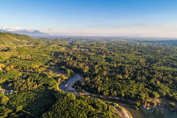 Fototapeta na wymiar Aerial view green tropical rain forest sunny day nature landscape