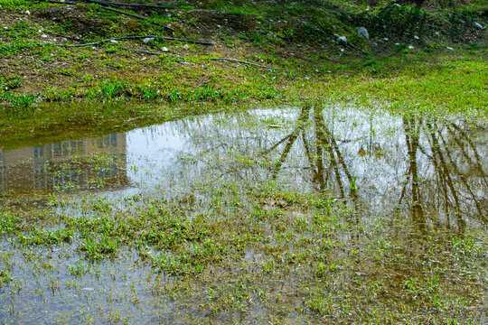 An example of poor storm sewerage. Rainwater has flooded the lawn or garden and won't go away. Errors in the design of the sewerage and drainage system.