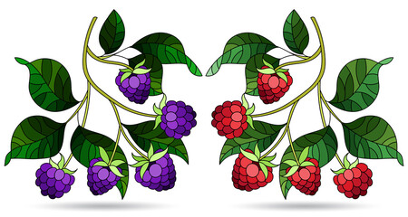 A set of illustrations in the style of stained glass with raspberry branches isolated on a white background