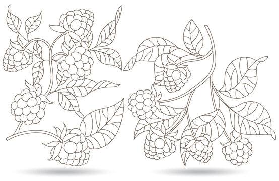 A set of contour illustrations in the style of stained glass with raspberry branches isolated on a white background