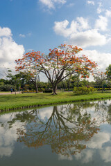 Autumn landscape with trees and lake