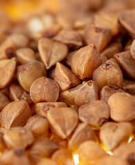 Close-up of buckwheat groats as background.