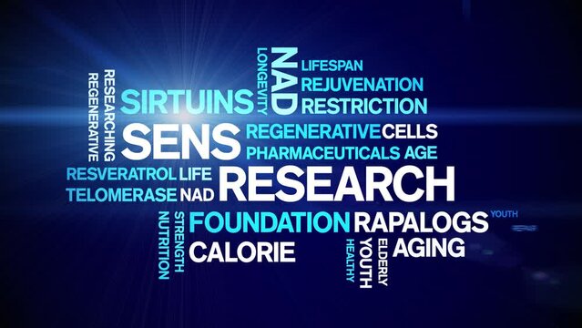 Sens Research Animated Tag Word Cloud;Text Design Animation typography seamless loop.