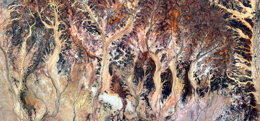 abstract landscape photo of the deserts of Africa from the air emulating the shapes and colors of the Enchanted Forest, Genre: Abstract naturalism, from the abstract to the figurative