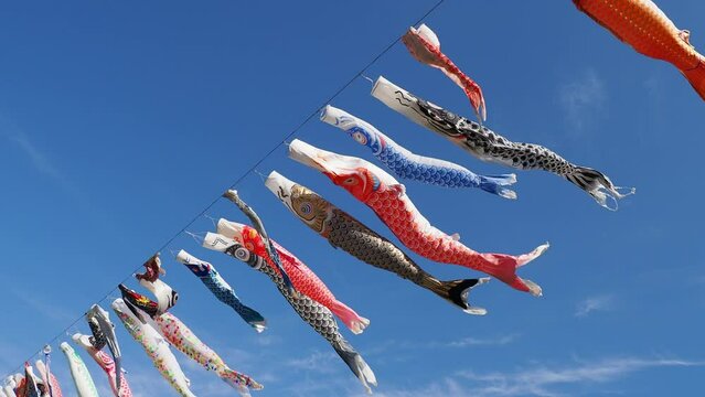 空を泳ぐ5月のこいのぼり