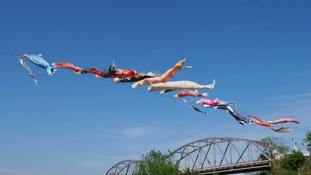 空を泳ぐ5月のこいのぼり