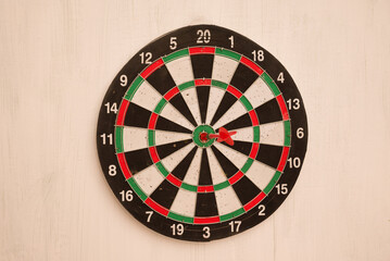 dart on target on white background