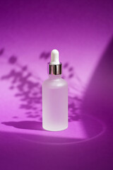 Transparent frosted glass dropper bottle with silver lid with serum or essential oil. Purple background with daylight and beautiful shadows.Skincare products, natural cosmetic. Beauty concept for face