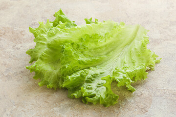 Fresh green salad lettuce leaves