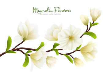Realistic White Magnolia Flower Composition - obrazy, fototapety, plakaty