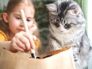 Little toddler girl planting seeds in the pots with cat. Love of pets. Funny and curious pets. Home gardening, transplanting plants, seedlings