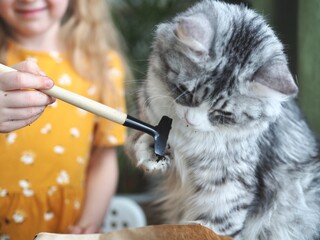 Little toddler girl planting seeds in the pots with cat. Love of pets. Funny and curious pets. Home gardening, transplanting plants, seedlings
