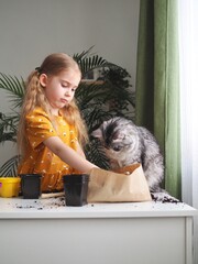Little toddler girl planting seeds in the pots with cat. Love of pets. Funny and curious pets. Home gardening, transplanting plants, seedlings
