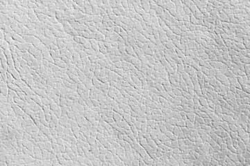 White textured wall, close up background photo texture