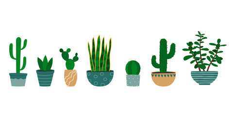 Set of various cactuses and succulent plants in flowerpot. Cartoon colorful houseplants.