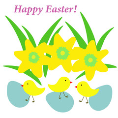 Easter card with daffodils, chicks, eggs. Happy easter greeting with yellow narcissus and cute chickens, vector eps 10