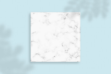 Top view blank square white marble template with leaf shadows overlays on light blue background.