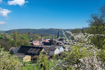 Fototapeta na wymiar Village view of Muhlhausen on the Enz from the Enzfelsen vineyard path