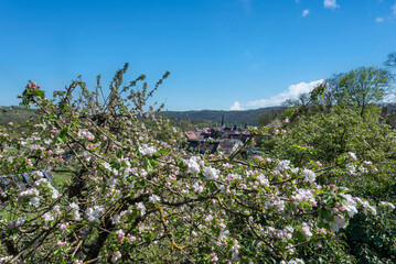 Village view of Muhlhausen on the Enz from the Enzfelsen vineyard path