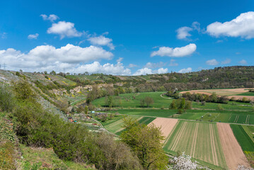 Vineyards at the Enz sloop near Muhlhausen on the Enz
