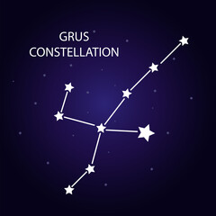 Obraz na płótnie Canvas The constellation Grus with bright stars. Vector illustration.