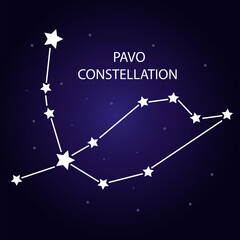 The constellation of Pavo with bright stars. Vector illustration. - obrazy, fototapety, plakaty