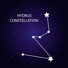 Obraz na płótnie Canvas The constellation of Hydrus with bright stars. Vector illustration.
