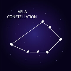 Obraz na płótnie Canvas The constellation of Vela with bright stars. Vector illustration.