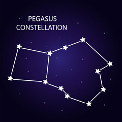 Obraz na płótnie Canvas The constellation of Pegasus with bright stars. Vector illustration.