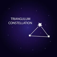 Fototapeta na wymiar The constellation of Triangulum with bright stars. Vector illustration.