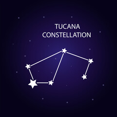 Obraz na płótnie Canvas The constellation of Tucana with bright stars. Vector illustration.