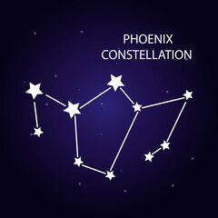 Fototapeta na wymiar The constellation of Phoenix with bright stars. Vector illustration.