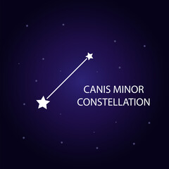 Obraz na płótnie Canvas The constellation of Canis Minor with bright stars.