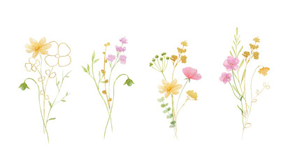 Wildflower bouquets watercolor set,  golden leaves. Summer floral art composition.