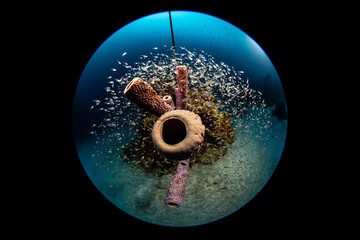 Little Big Planet underwater diving scubadiving