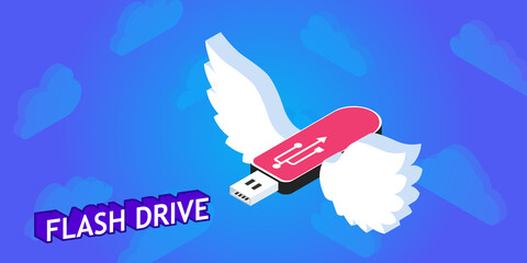 Flash drive isometric design icon. Vector web illustration. 3d colorful concept