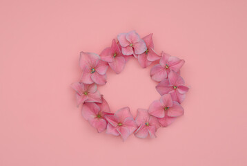 frame of flora hydrangea petals on pink background