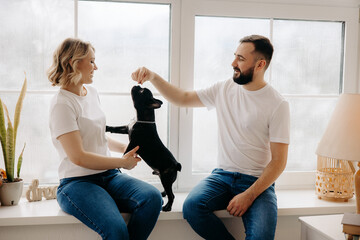 happy couple playing with french bulldog by the window