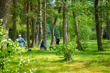 Fototapeta piknik rodzina rozpala grila w maju  na polanie obraz