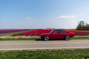 red vintage car in front of red tulip fields