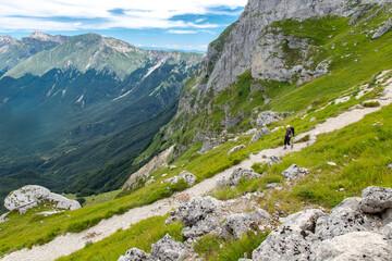 Panorama dalla Madonnina a Prati di Tivo sul Gran Sasso