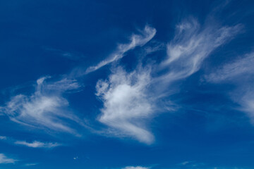 Blu sky and white clouds