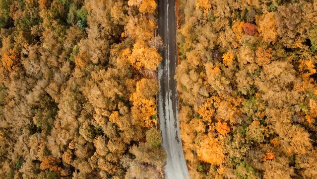 drone footage from above. fly by the forest following the mountain road. Color correction to adapt footage for fall/winter videos