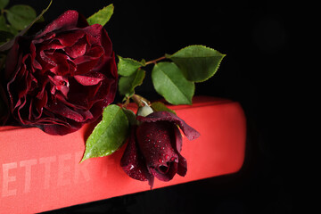 Still life con rose di colore rosso viola intenso