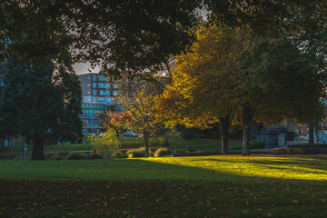 Obraz premium park in autumn