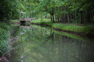 Pont métallique sur un canal dans une forêt 