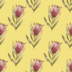 Watercolor branch flower tropical protea seamless pattern. Print for texile, fabric, stationery, cover, packaging, wallpaper