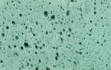 Green sponge detailed texture, sponge texture background. High quality photo