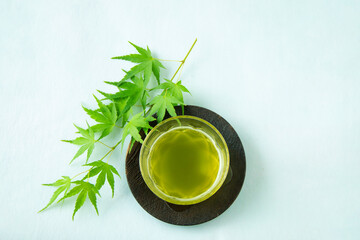 緑のモミジと冷たい緑茶のデザイン（ブルーバック）