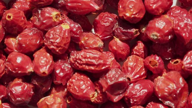 Rosa canina or rubiginosa berries footage